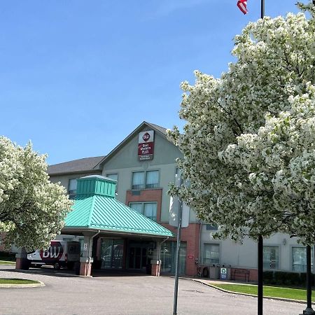 Best Western Plus Travel Hotel Toronto Airport Екстериор снимка